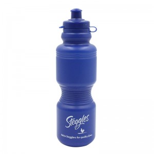 Sports Water Bottles, Reusable No BPA Plastic, Pull Top Leak Proof Drink Spout, DIY Customization for Business Branding, Fundraises, for Fitness