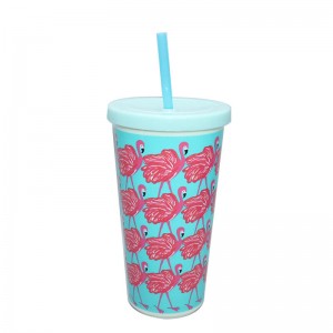 600ml single wall tumbler with straw